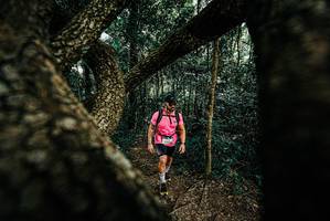 BIB: 
                            <button type="button" onclick="openModal(25666723)" class="btn btn-primary btn-sm float-right btn-popup" data-toggle="modal" data-target=".modal-high-quality">
                        <i class="fas fa-shopping-cart"></i> Add to Cart
                    </button>
                                            <button type="button" onclick="isThisMe(25666723, true)" class="btn btn-success btn-sm float-right btn-popup btn-isme hidden" data-toggle="tooltip" data-placement="bottom" title="นี่คือรูปของคุณใช่ไหม คลิกที่นี่เพื่อเอาเข้าอัลบั้ม">
                        <i class="fas fa-plus"></i> Add to album
                    </button>
                    <button type="button" onclick="isThisMe(25666723, false)" class="btn btn-warning btn-sm float-right btn-popup btn-isnotme hidden">
                        <i class="fas fa-ban"></i> Remove from album
                    </button>